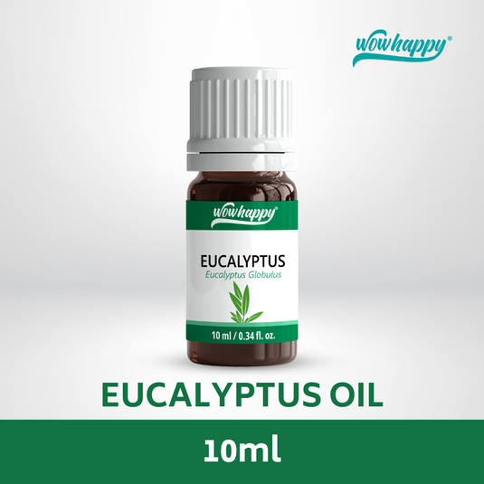 Eucalyptus Essential Oil 10ml