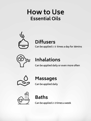 Focus Essential Oil Special Blend 10ml