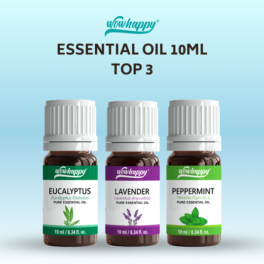 Wowhappy Top Essential Oils - Collection