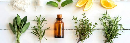 10 Genius Uses for Peppermint Oil in Your Filipino Home: Practical Solutions for Everyday Problems