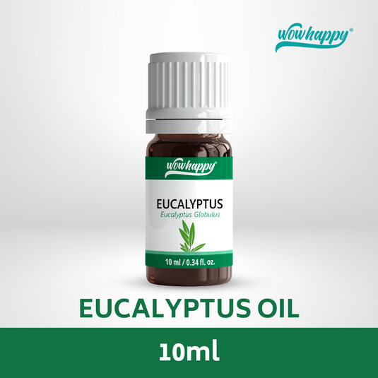 Eucalyptus Oil 10ml