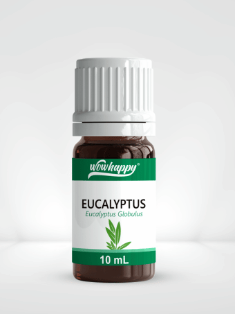 Eucalyptus Essential Oil 10ml 340
