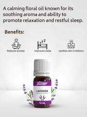 Lavender Essential Oil 10ml