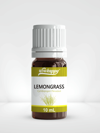 COMBO Lemongrass and Peppermint Essential Oil 10ml